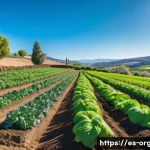 유기농업 이론 강의 추천 - A vibrant organic farm landscape in rural Spain during springtime, showcasing diverse crops in rotat...
