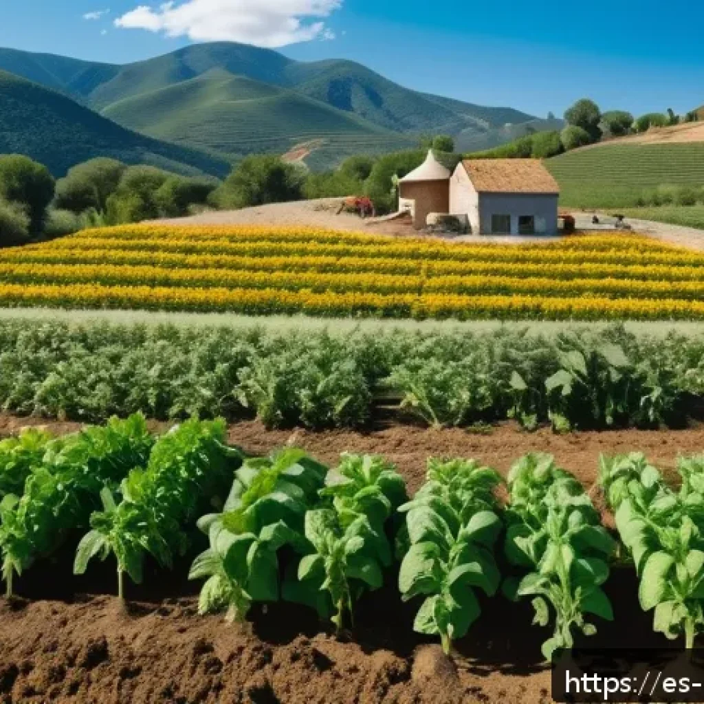유기농업 실무 경험이 중요한 이유 - A vibrant organic farm scene in a sunny rural Spanish countryside, showcasing diverse crops such as ...