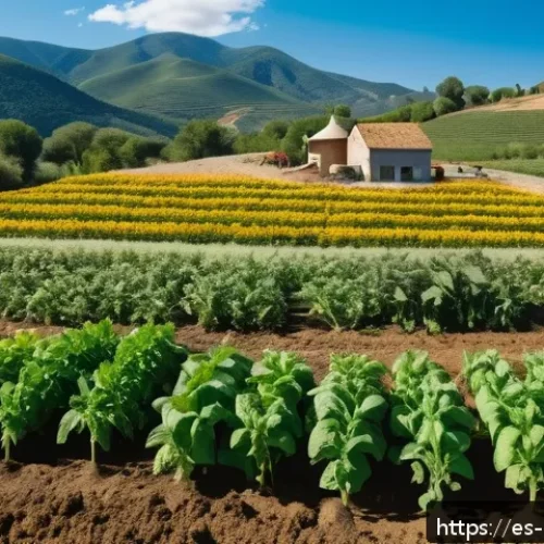 유기농업 실무 경험이 중요한 이유 - A vibrant organic farm scene in a sunny rural Spanish countryside, showcasing diverse crops such as ...
